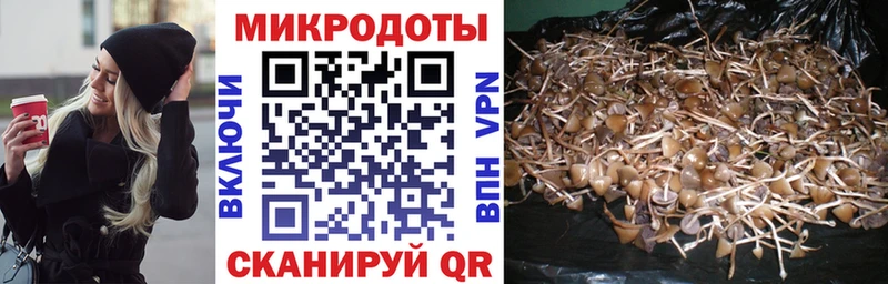 Галлюциногенные грибы GOLDEN TEACHER Липки